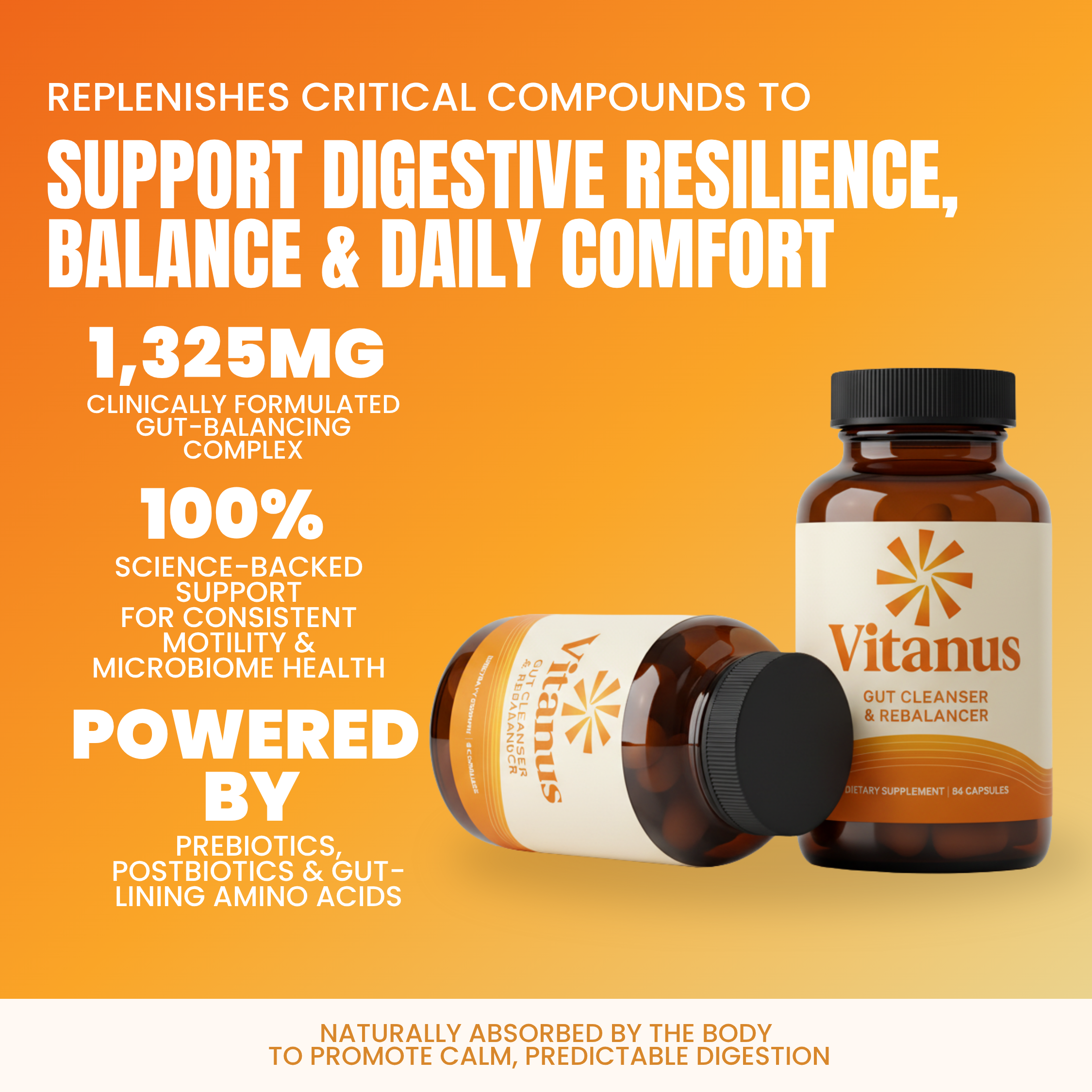 Gut Reset™ Complex - #1 Doctor-Formulated Gut Rebuilder